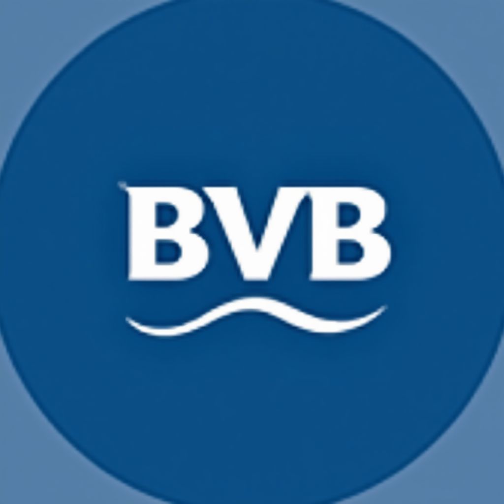 Bolsa Boliviana de Valores